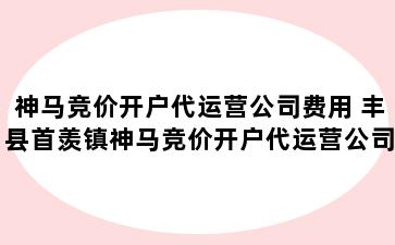 神马竞价开户代运营公司费用 丰县首羡镇神马竞价开户代运营公司费用